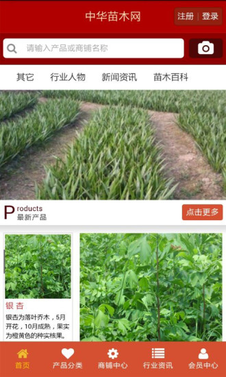 中华苗木网