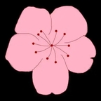 桃花视频全集免费