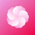 芙蓉直播课堂