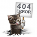 404影视app