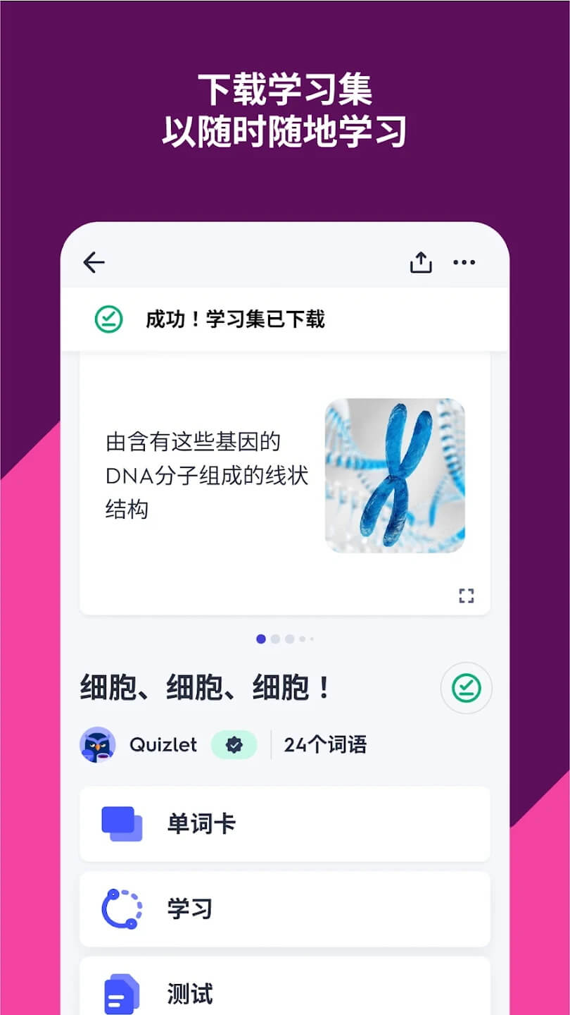 Quizlet最新版