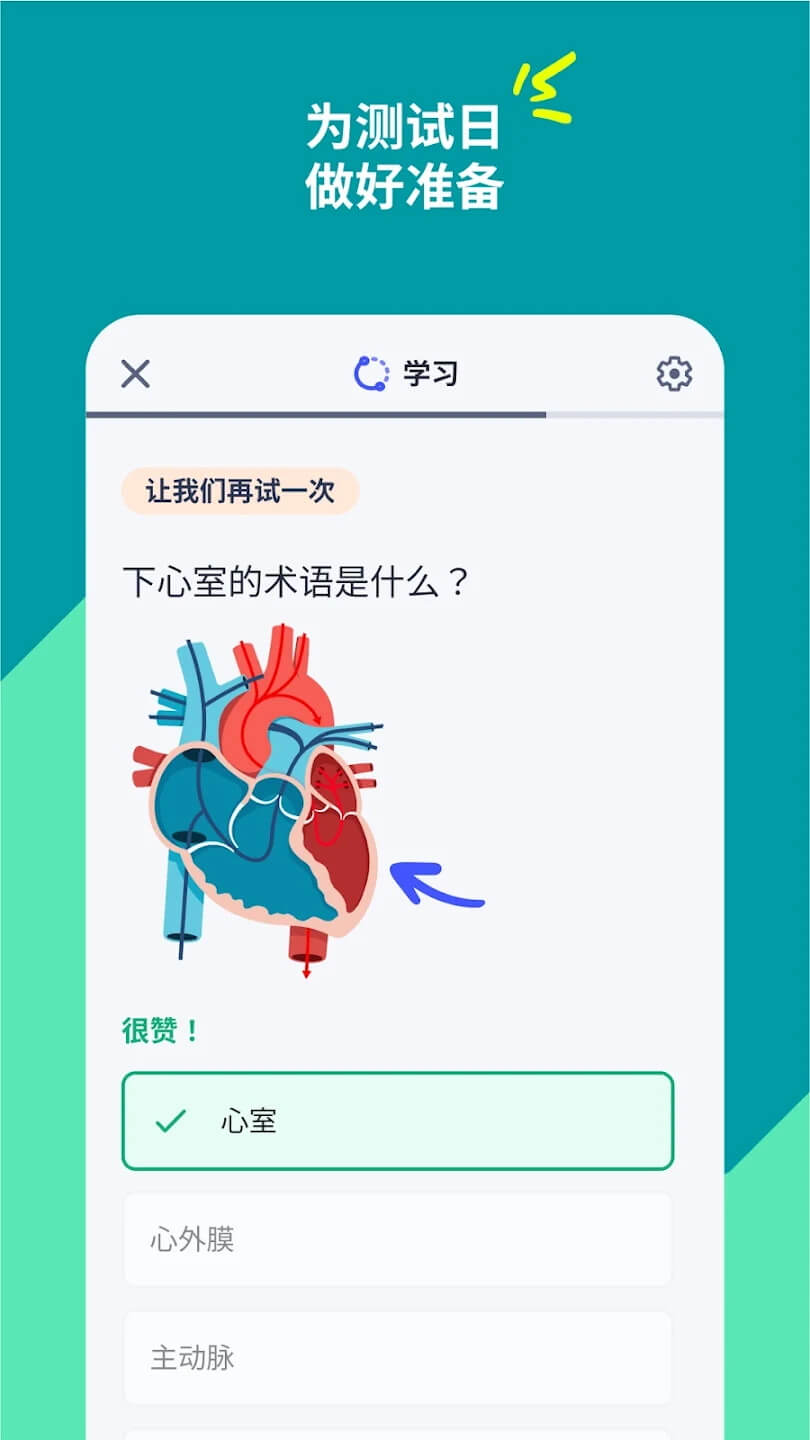Quizlet最新版