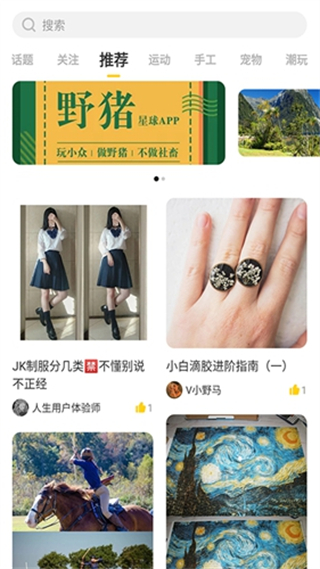 野猪星球高清大图