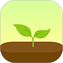 forest专注森林app