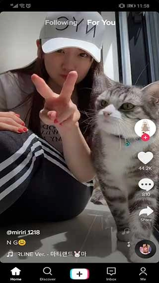 tiktok抖音国际版app