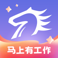 百城招聘网个人版
