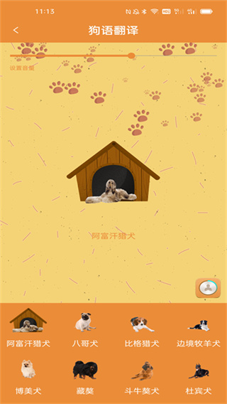 宠物猫狗翻译器