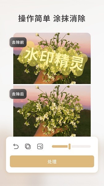 乐其爱水印精灵免费版
