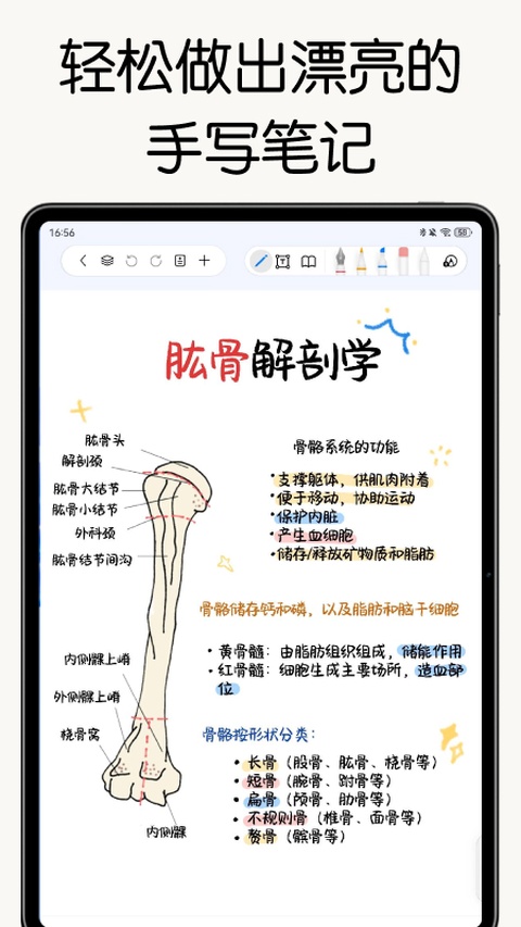 自由笔记app