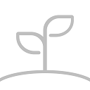 成长之树