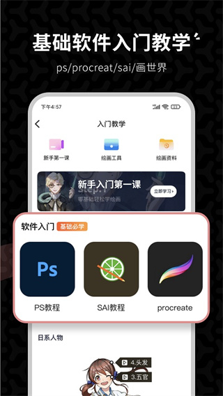 羊驼绘画