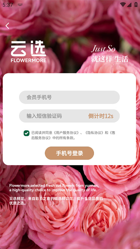 云选鲜花批发