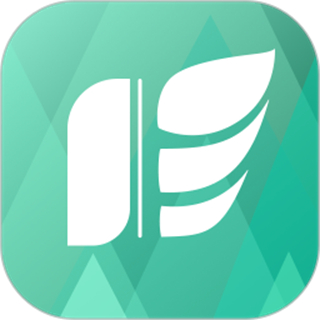 书芽