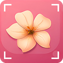 识花君植物识别app