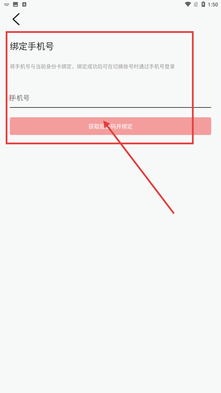 棉花视频免费下载