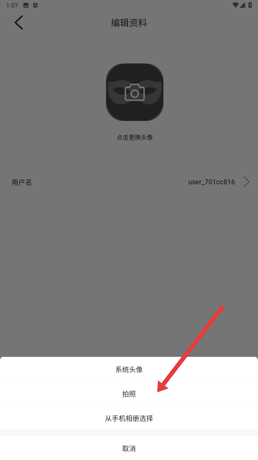 懒懒视频免费追剧
