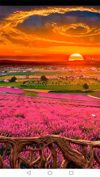 麻豆传媒免费下载