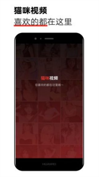 新版猫咪app