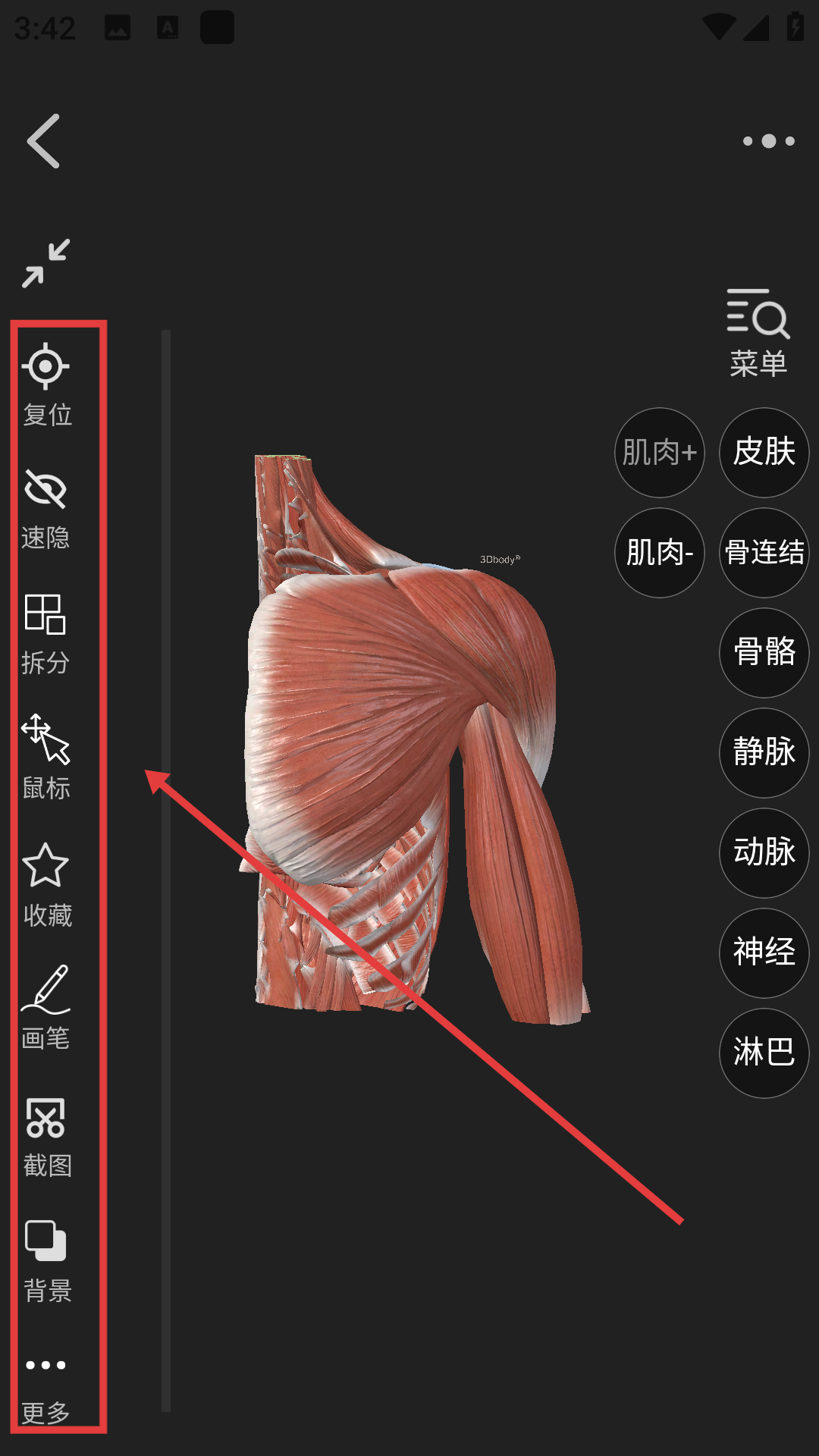 3dbody解剖软件