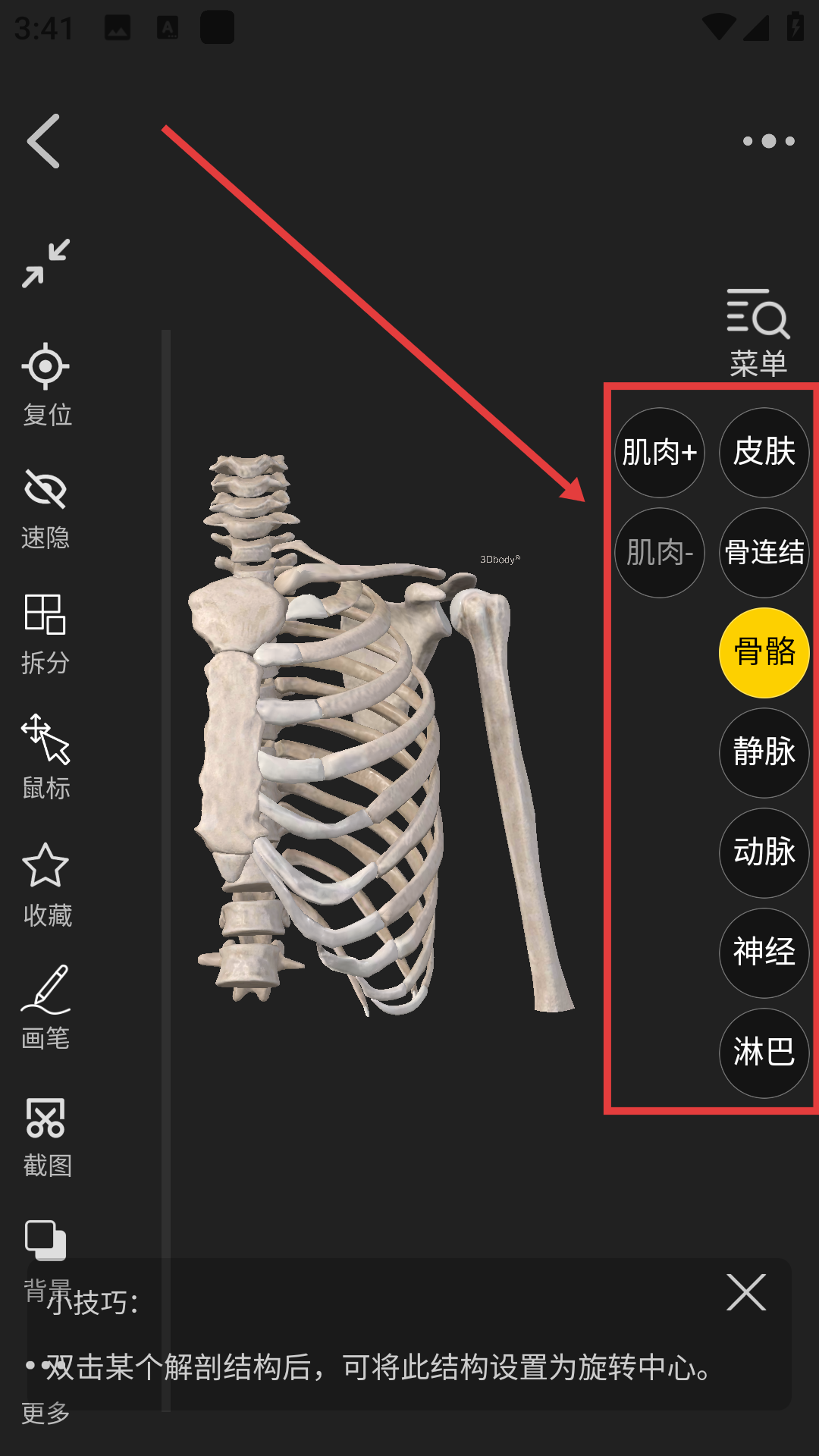 3dbody解剖软件