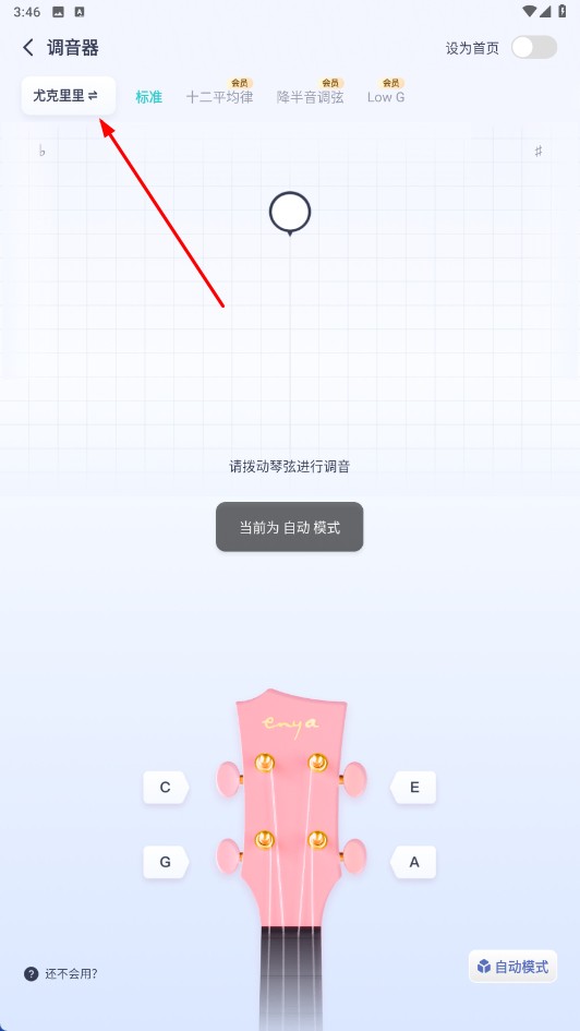 恩雅音乐调音器