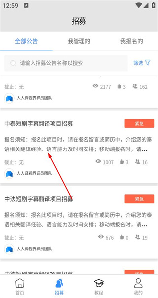 人人译视界网页版
