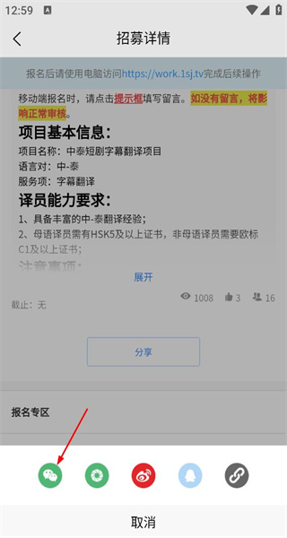 人人译视界网页版
