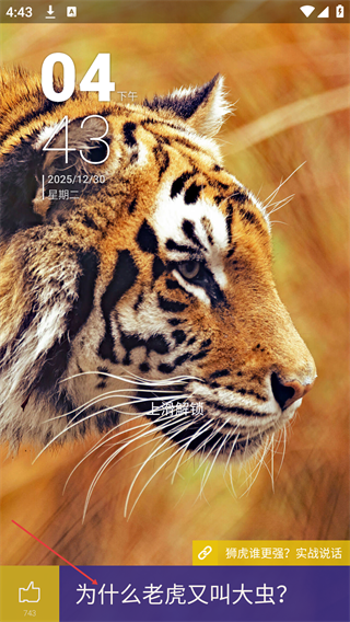 金立故事锁屏壁纸