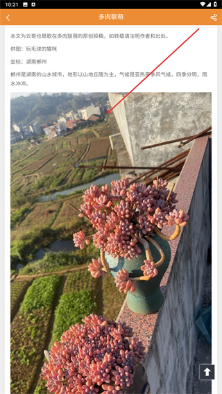 多肉联萌手机客户端