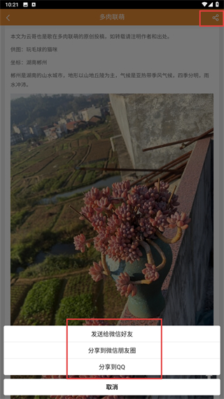 多肉联萌手机客户端