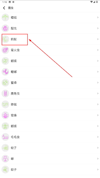 宝宝儿童学画画