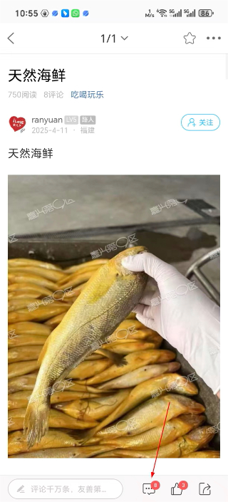 嘉兴第九区