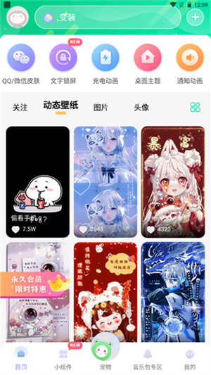 动态壁纸app
