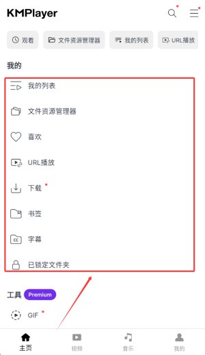kmplayerplus解锁版