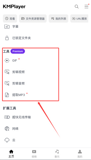 kmplayerplus解锁版