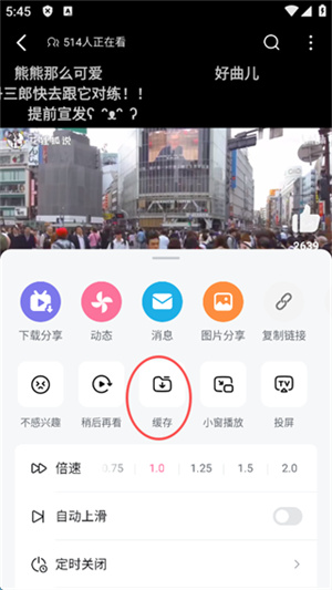 哔哩哔哩bilibili