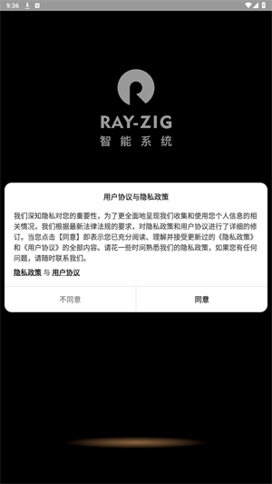 RayZig官方