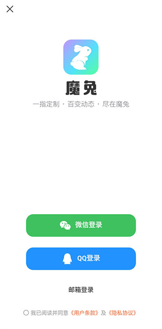 魔兔live2D