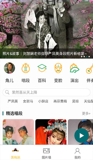 黄梅迷