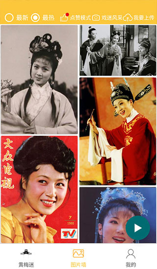 黄梅迷