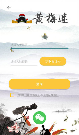 黄梅迷