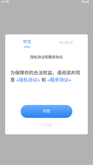 izdax翻译