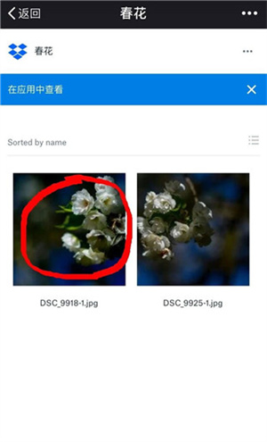 Dropboxapp