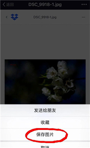 Dropboxapp