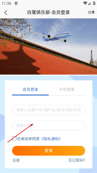 金漳浦