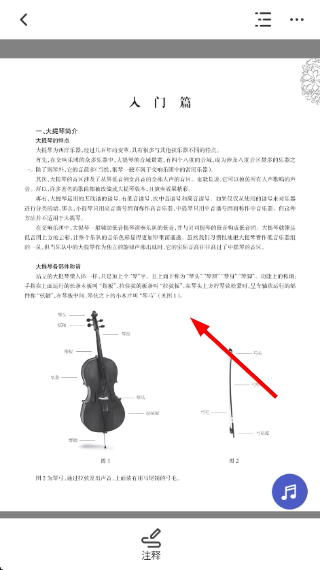 柿子音乐