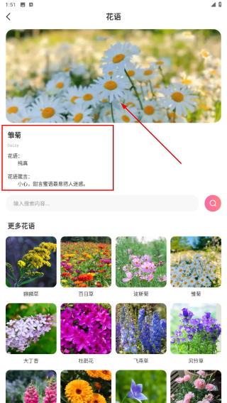 优料