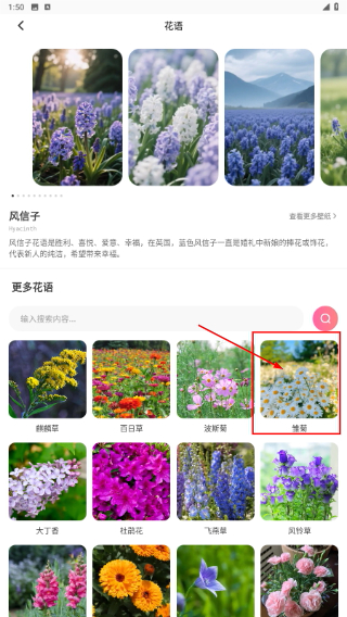 优料