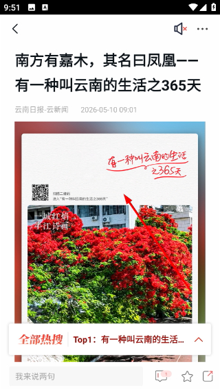 云新闻