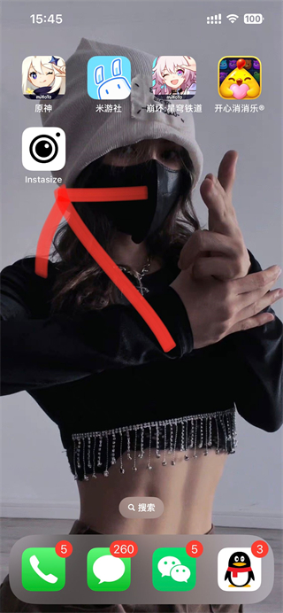 Instasize软件